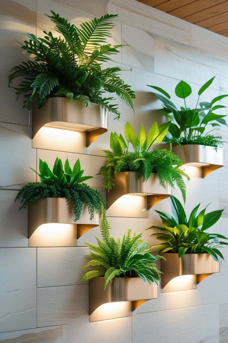 Luxury balcony garden by Plantoori